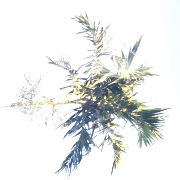 exlae_